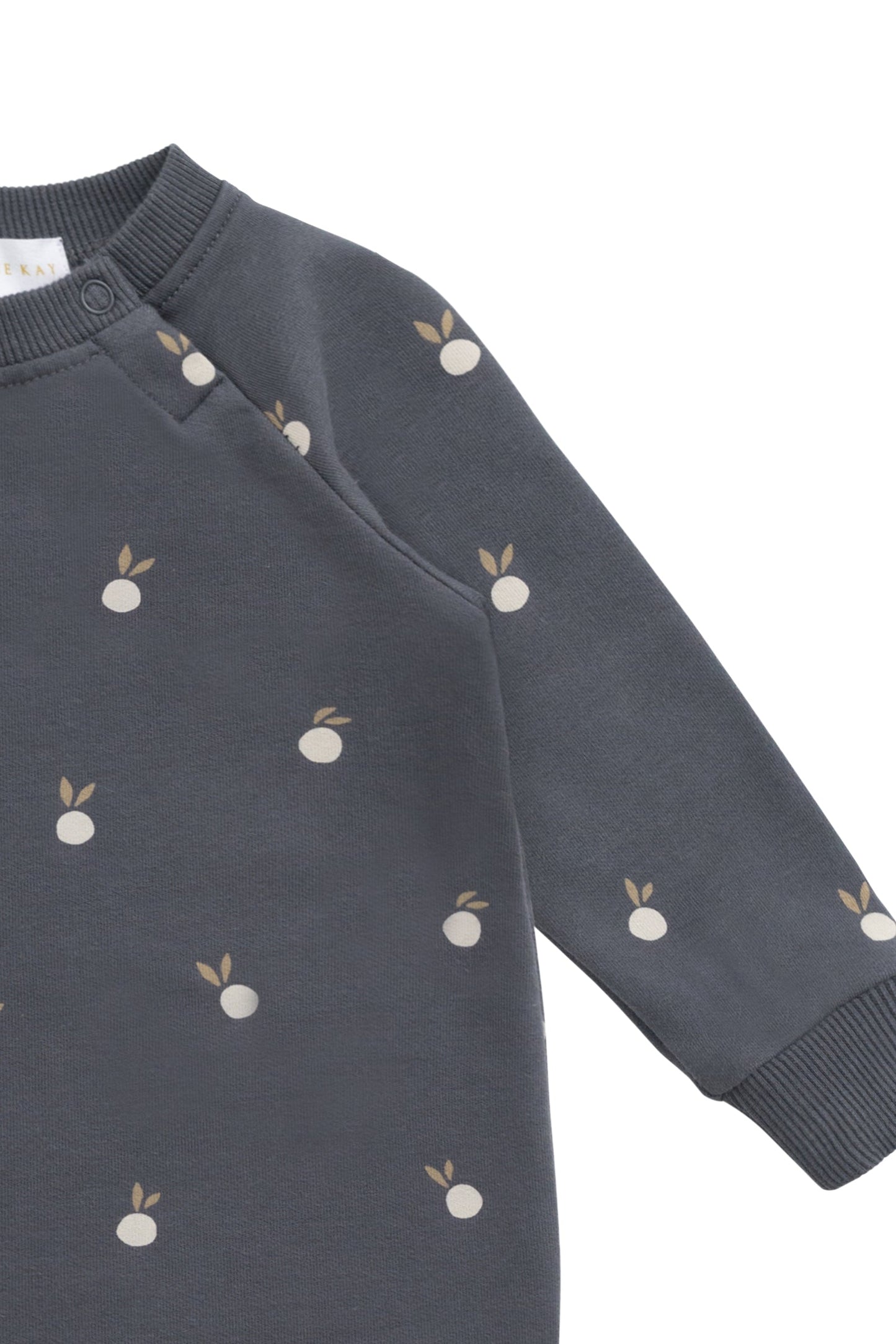 Organic Cotton Tao Sweatshirt Onepiece - Bobby Berries Shadow