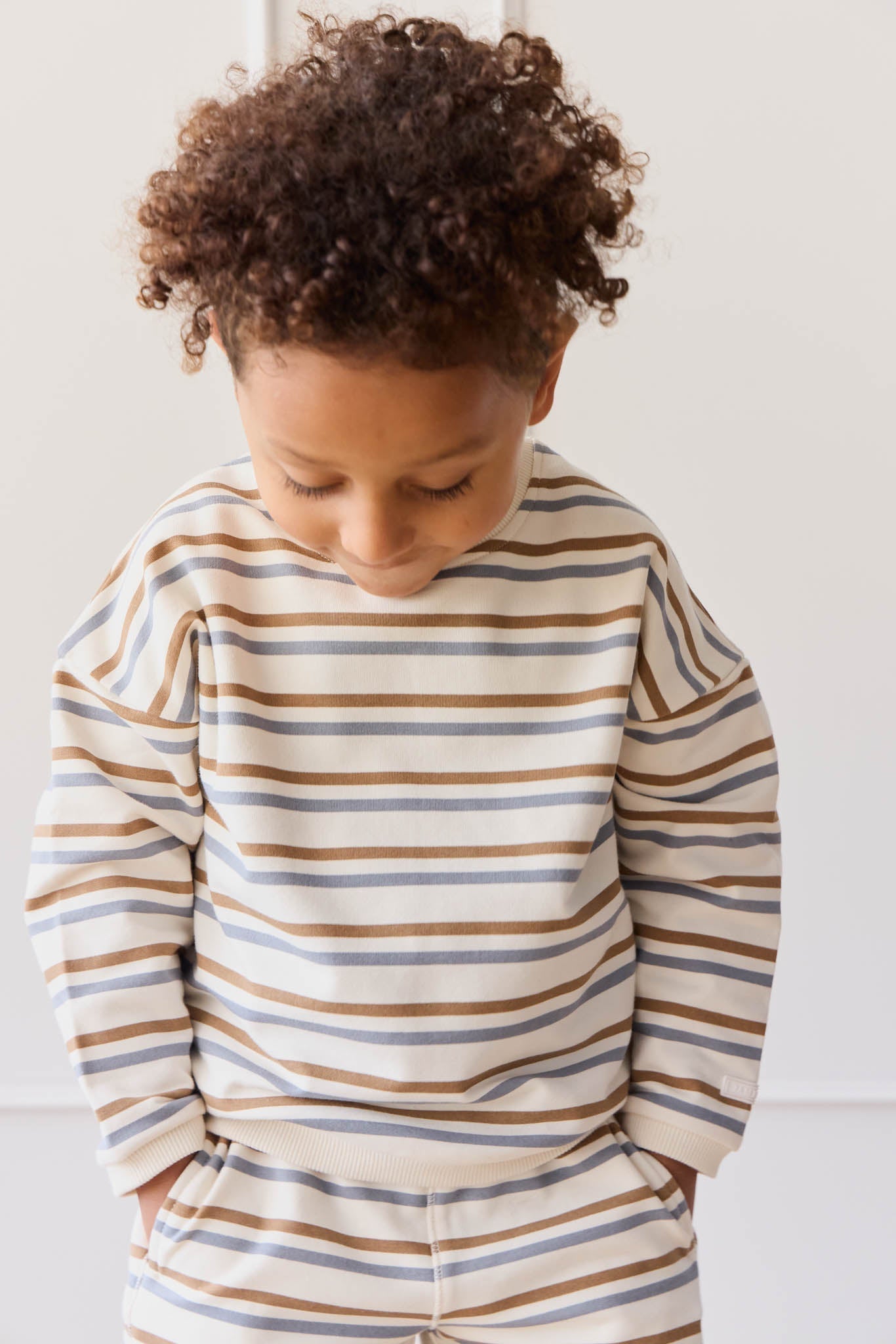 Organic Cotton Damien Sweatshirt - Hudson Stripe Tiger