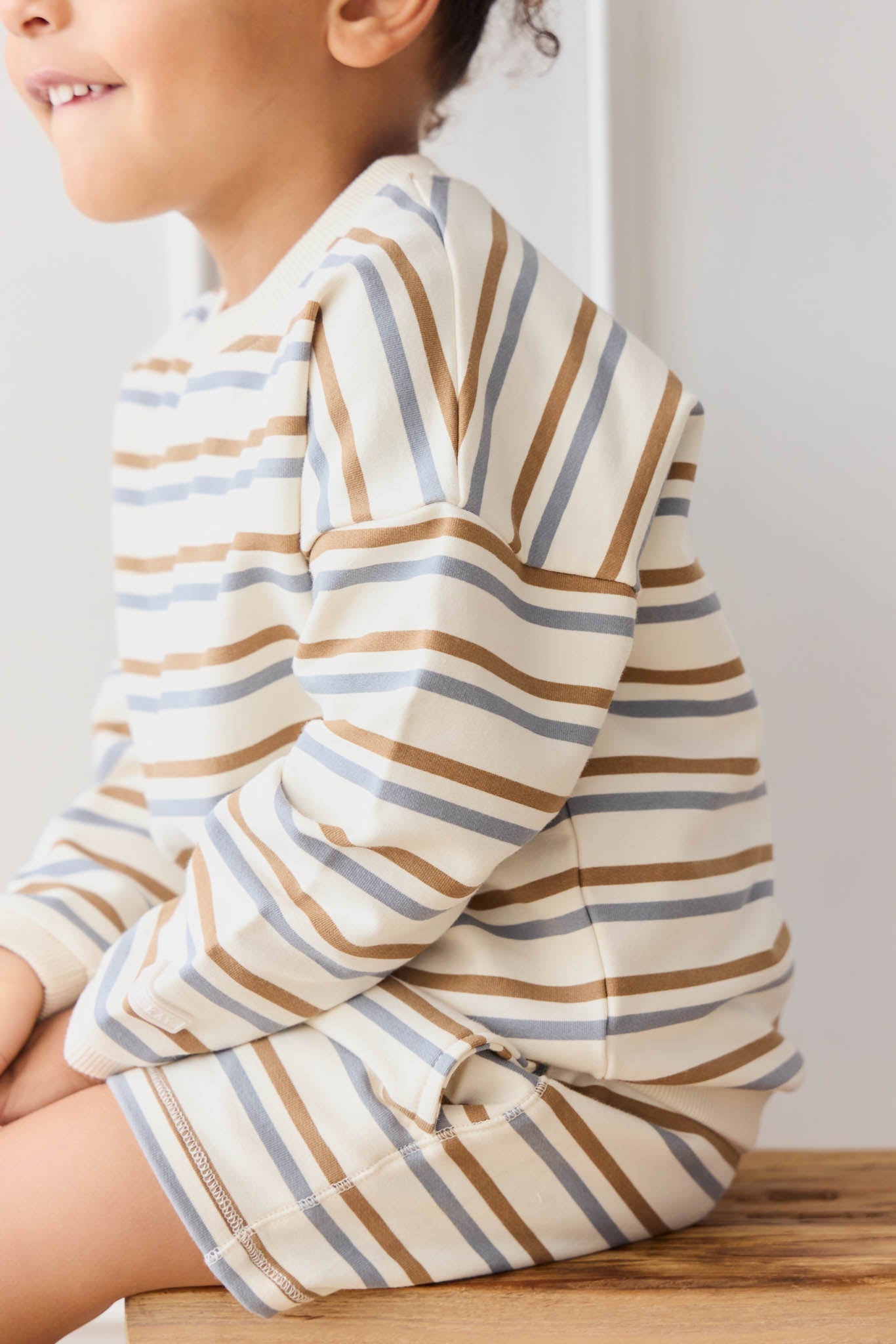 Organic Cotton Damien Sweatshirt - Hudson Stripe Tiger